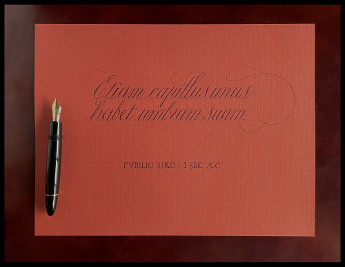 Montblanc 149 Caligraphy, Etiam capillus unus.jpg