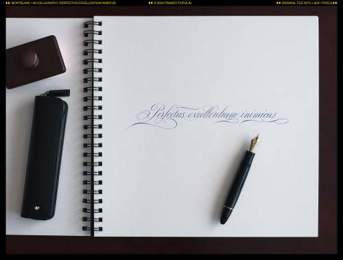 Montblanc 149 Calligraphy, Perfectus excellentium inimicus ©FP.jpg