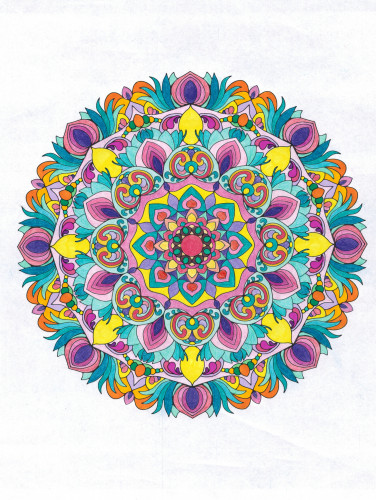 MANDALA27012024.jpg