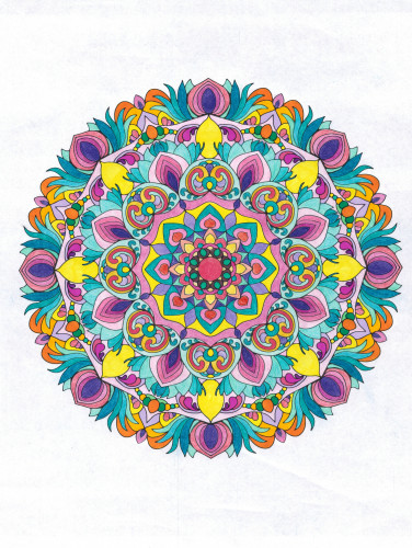 MANDALA27012024.jpg