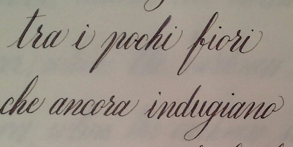 20140206_235616-1-1.jpg