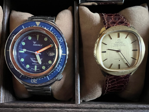 squale02.jpg