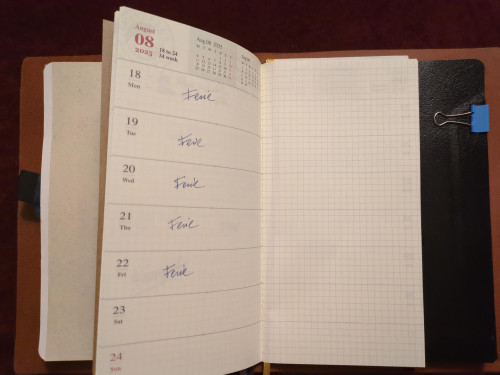 06-agendaTN.jpg (501.73 KiB) Visto 3409 volte Inserto: agenda TN settimanale con note