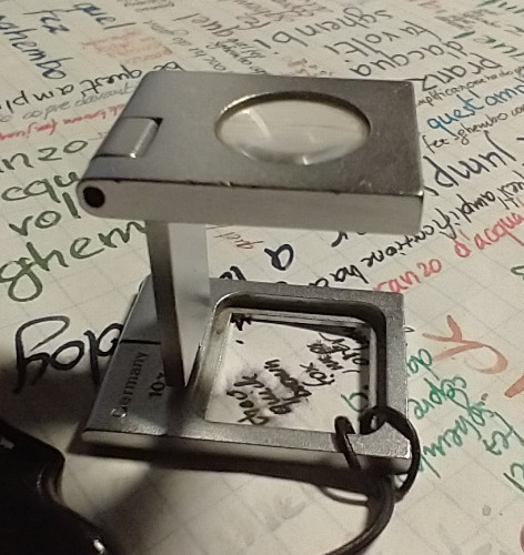 IMG_20251027_211629195.jpg (313.42 KiB) Visto 815 volte Lente buona