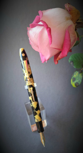 1. WEEP2. The Pen with rose.jpg