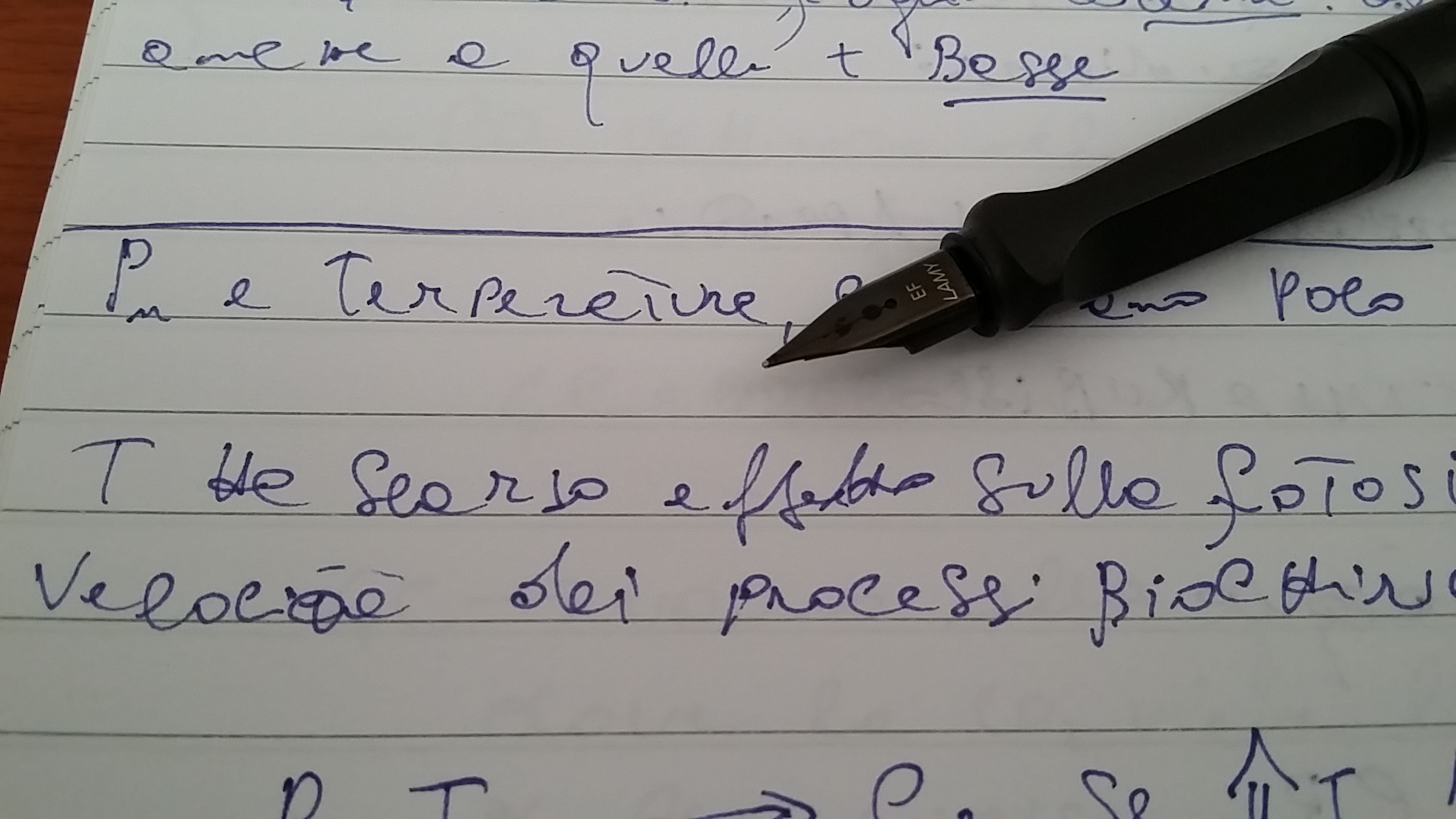 20140717_140453.jpg