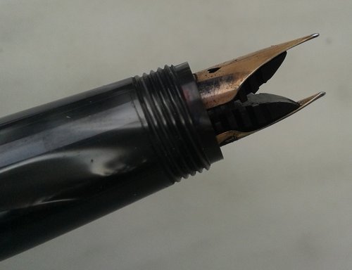 13. IC. nibs 1.jpg