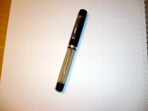 P1030920.JPG (196.82 KiB) Visto 2872 volte Filcao modello Silvia