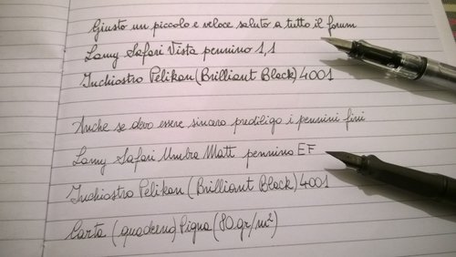 WP_20160401_007.jpg (2.23 MiB) Visto 10541 volte Prova