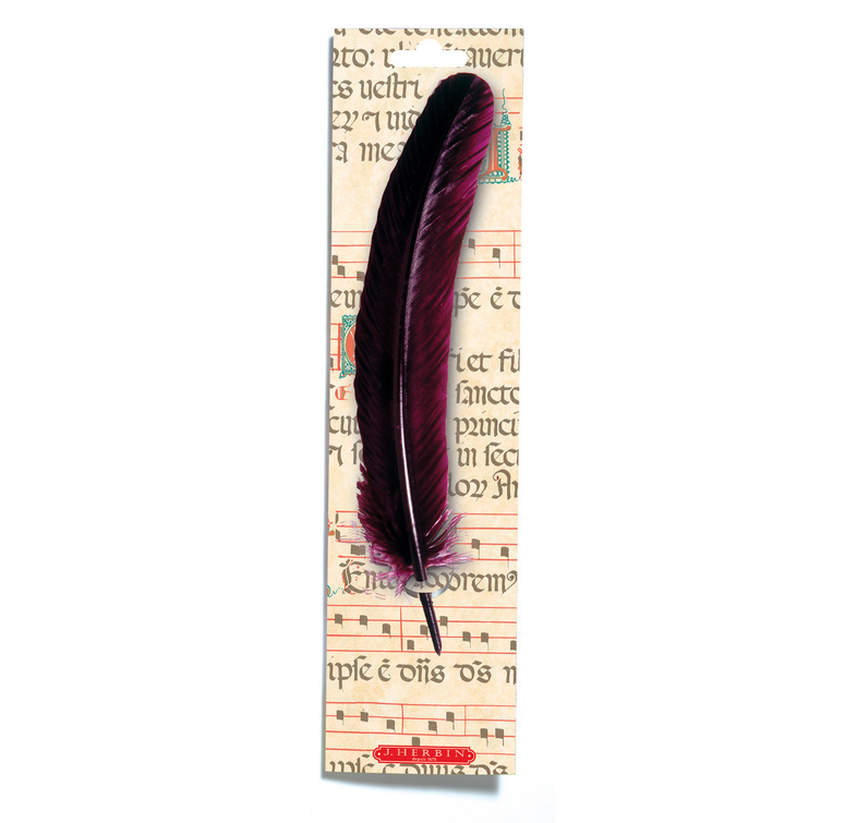 Plume d'Oie 2.jpg