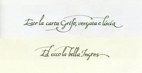 Grifo vs Ingres 1.jpg