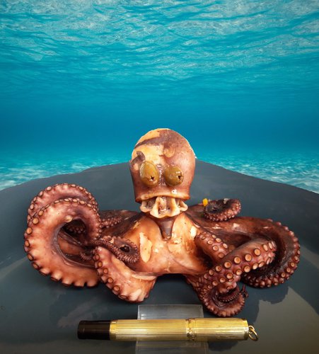 3. N500. octopus 1.jpg