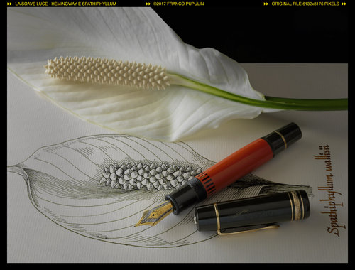 La soave luce - Montblanc Hemingway e Spathiphyllum ©FP.jpg