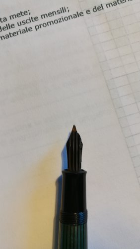 IMG_20170728_172850.jpg (1.39 MiB) Visto 4792 volte vista ventrale