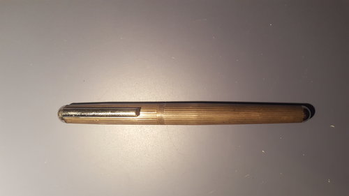 20171108_193335.jpg (3.71 MiB) Visto 2509 volte Penna ignota