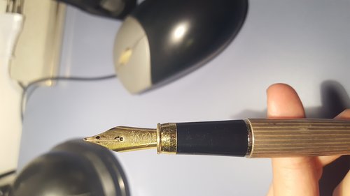 20171108_193414.jpg (2.82 MiB) Visto 2509 volte Penna ignota