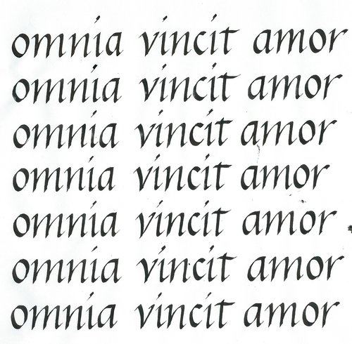 omnia vincit amor.jpg