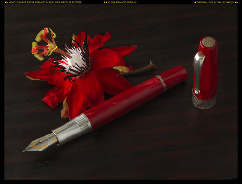 Montegrappa Extra Red and Passiflora vitifolia flower (1) ©FP.jpg