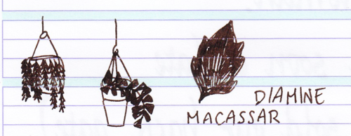 Diamine Macassar doodle plant 02.png
