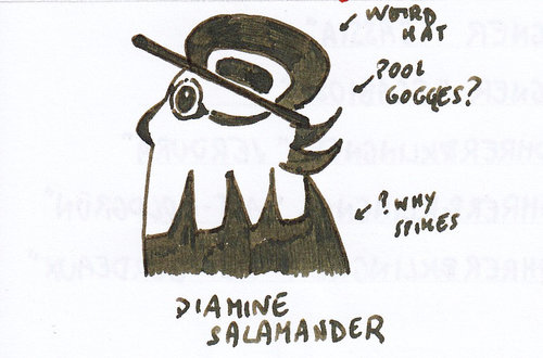 Diamine Salamander doodle bird 01.jpg