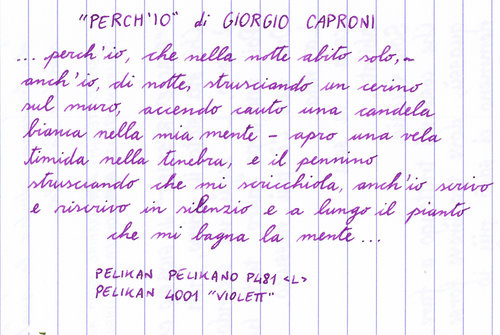 Pelikan 4001 Violett Giorgio Caproni Perchio.jpg
