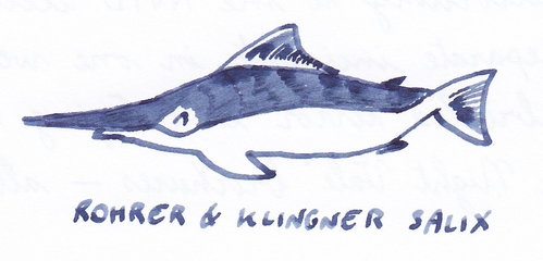 RK Salix doodle fish 02.jpg