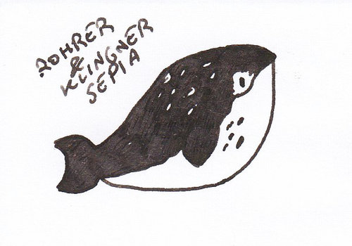 RK Sepia Doodle Fish.jpg