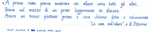 Diamine Asa Blue Pitzorno Casa Albero.jpg