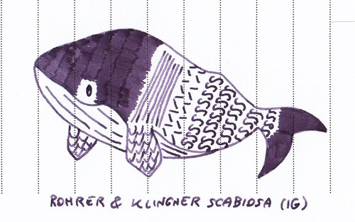 RK Scabiosa Doodle Fish 02.jpg