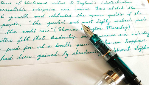 18-08 Wing Sung 698 Diamine Steel Blue 01.jpg