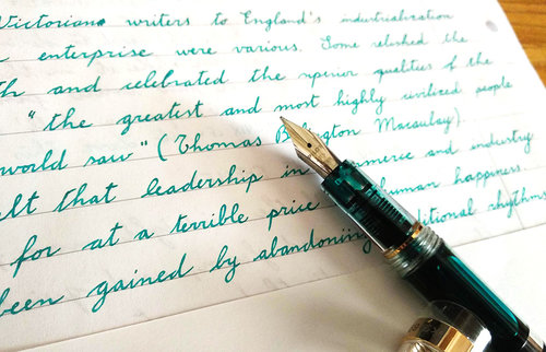 18-08 Wing Sung 698 Diamine Steel Blue 02.jpg