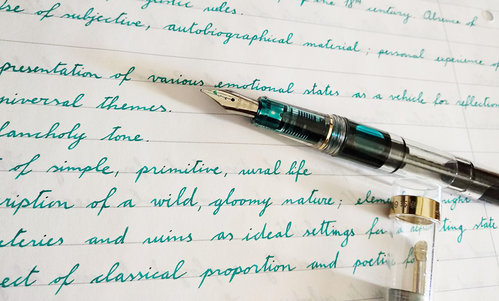 18-08 Wing Sung 698 Diamine Steel Blue 04.jpg