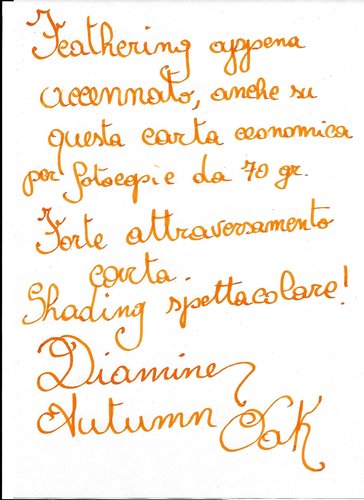 Diamine Autumn Oak 1.jpg (404.86 KiB) Visto 2443 volte Prova con pennino stub 1.9 mm, su carta da fotocopie 75 gr riciclata