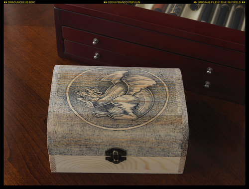 Dracunculus box (3) ©FP.jpg