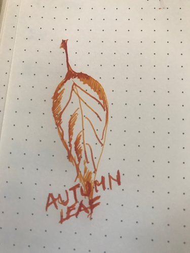 Autumn Leaf.jpeg