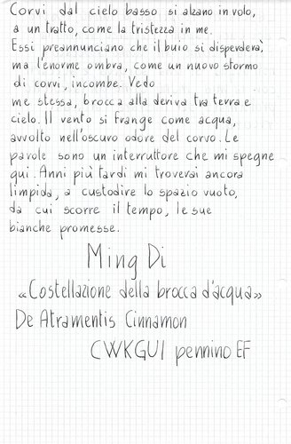 De Atramentis Cinnamon 3.jpg (463.61 KiB) Visto 2000 volte Prova su quaderno Cartorama Store, 80 gr.