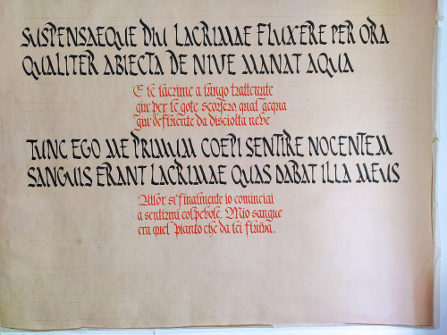 prova_ru_fr.jpg (5.61 MiB) Visto 9352 volte prova_ru_fr.jpg