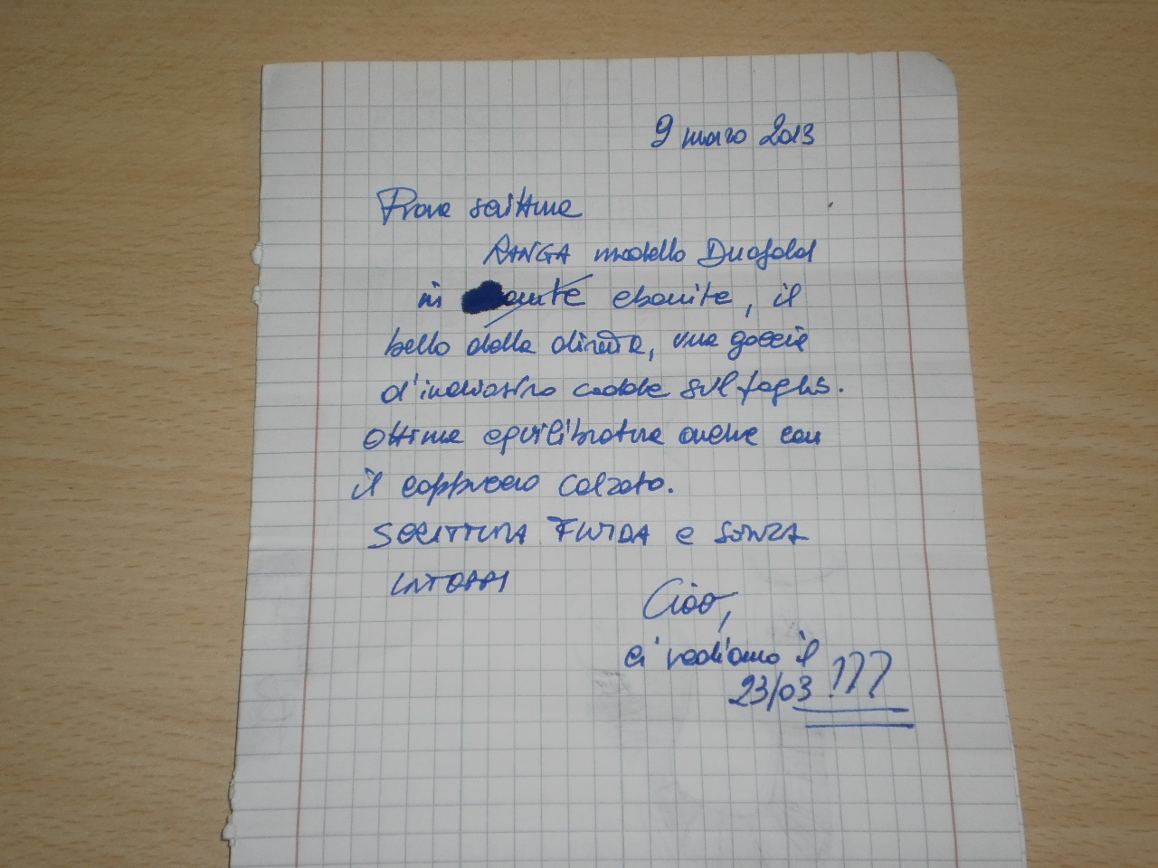 2013_03090001.JPG