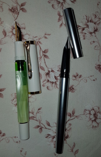 pens_2sett_21.jpg (2.01 MiB) Visto 2526 volte penne del giorno 2/9