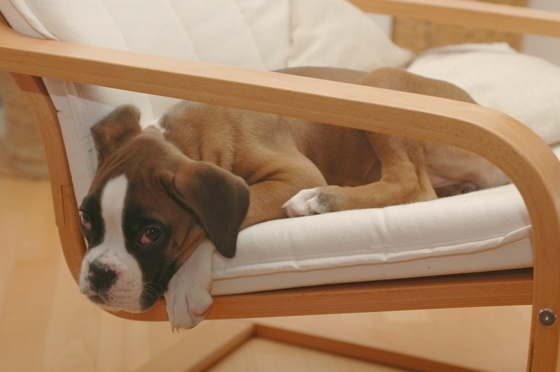 Non disturbarmi che sto pensando!