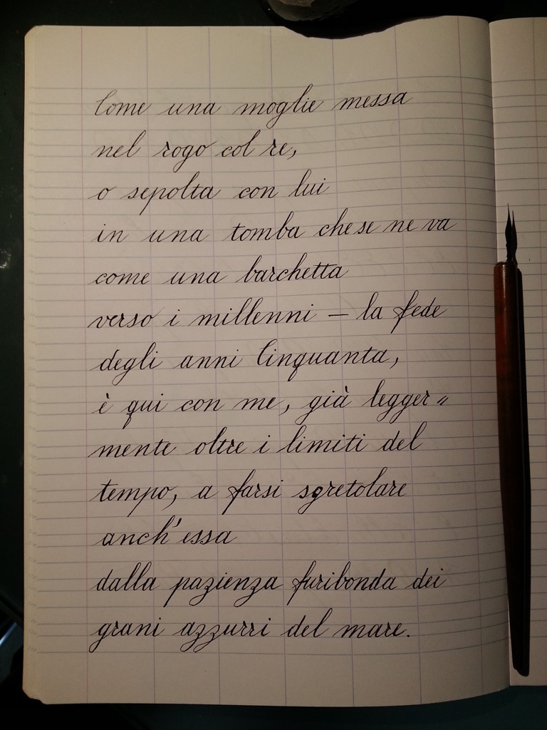 20130612_134213.jpg