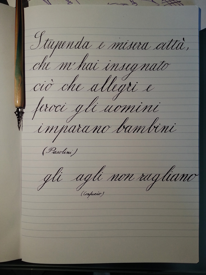 20130625_112746.jpg
