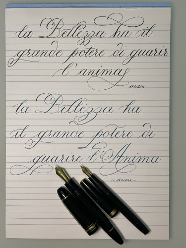 77B9732E-907C-4E19-A7A7-31B1D6A37347.jpeg (2.52 MiB) Visto 2880 volte Carta: Clairefointaine Triomphe (righe da 8mm)<br /><br />Penna 1: Tabo S<br />Inchiostro 1: Verde-Nero autoprodotto (Eel Gruene Cactus 3:1 X-Feather)<br /><br />Penna 2: Montblanc 149 Calligraphy<br />Inchiostro 2: AirCorp Blue Black