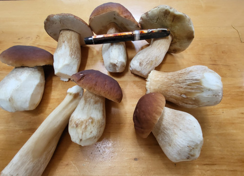 20230223_160302.jpg