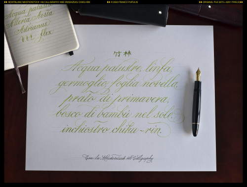 Montblanc 149 Calligraphy and chiku-rin ©FP.jpg