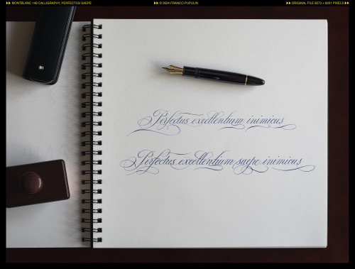 Montblanc 149 Calligraphy, Perfectus saepe ©FP.jpg