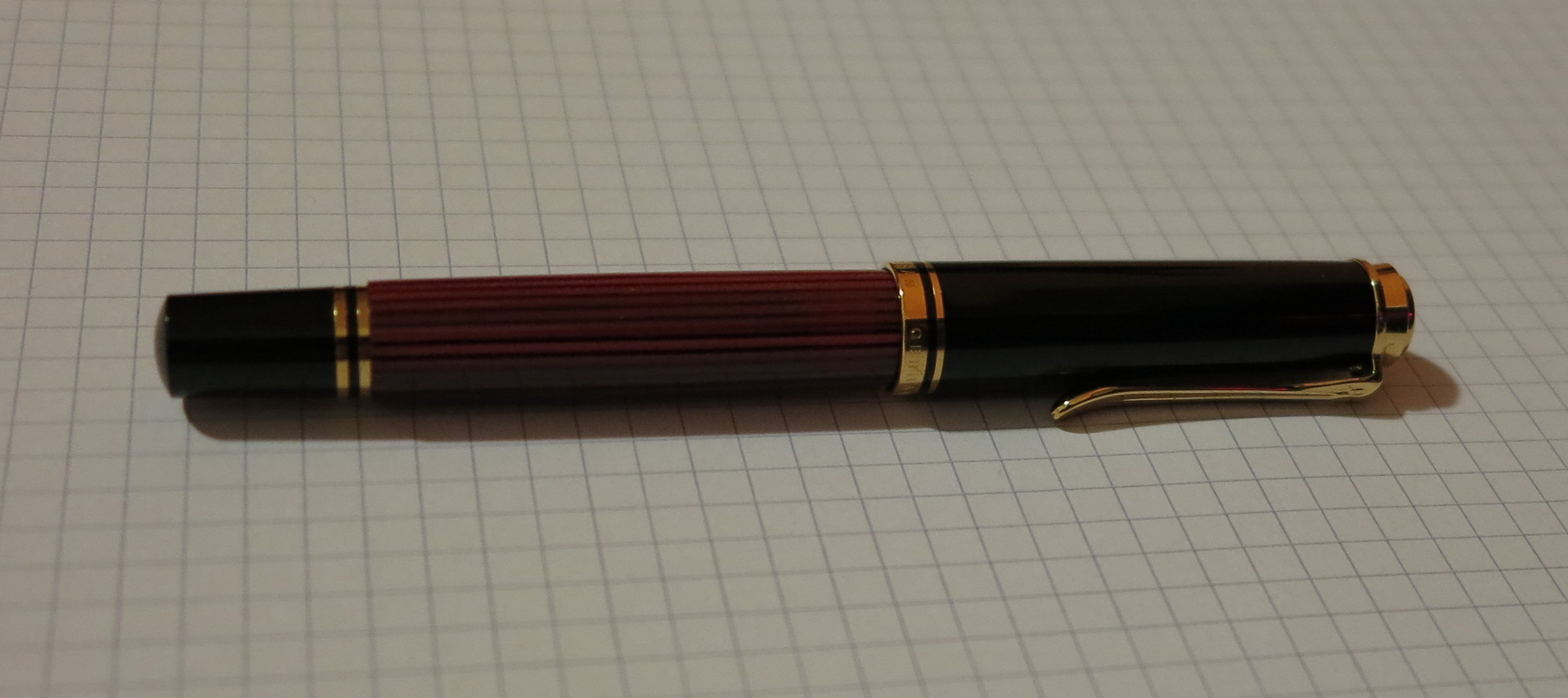Penna chiusa.JPG