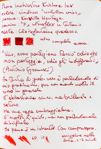 Krishna Ink - Revolution Series - Sindhoor Red .jpg