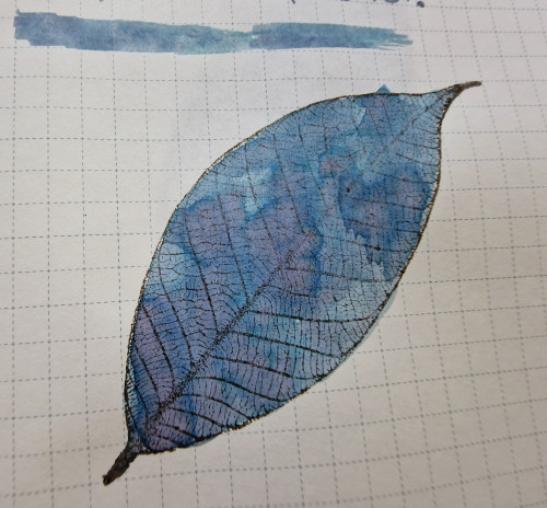 20240627_175621.jpg
