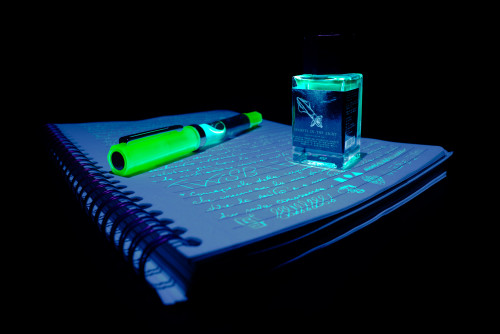 TWSBI ECO Glow Green (Accesa) - Abulafia